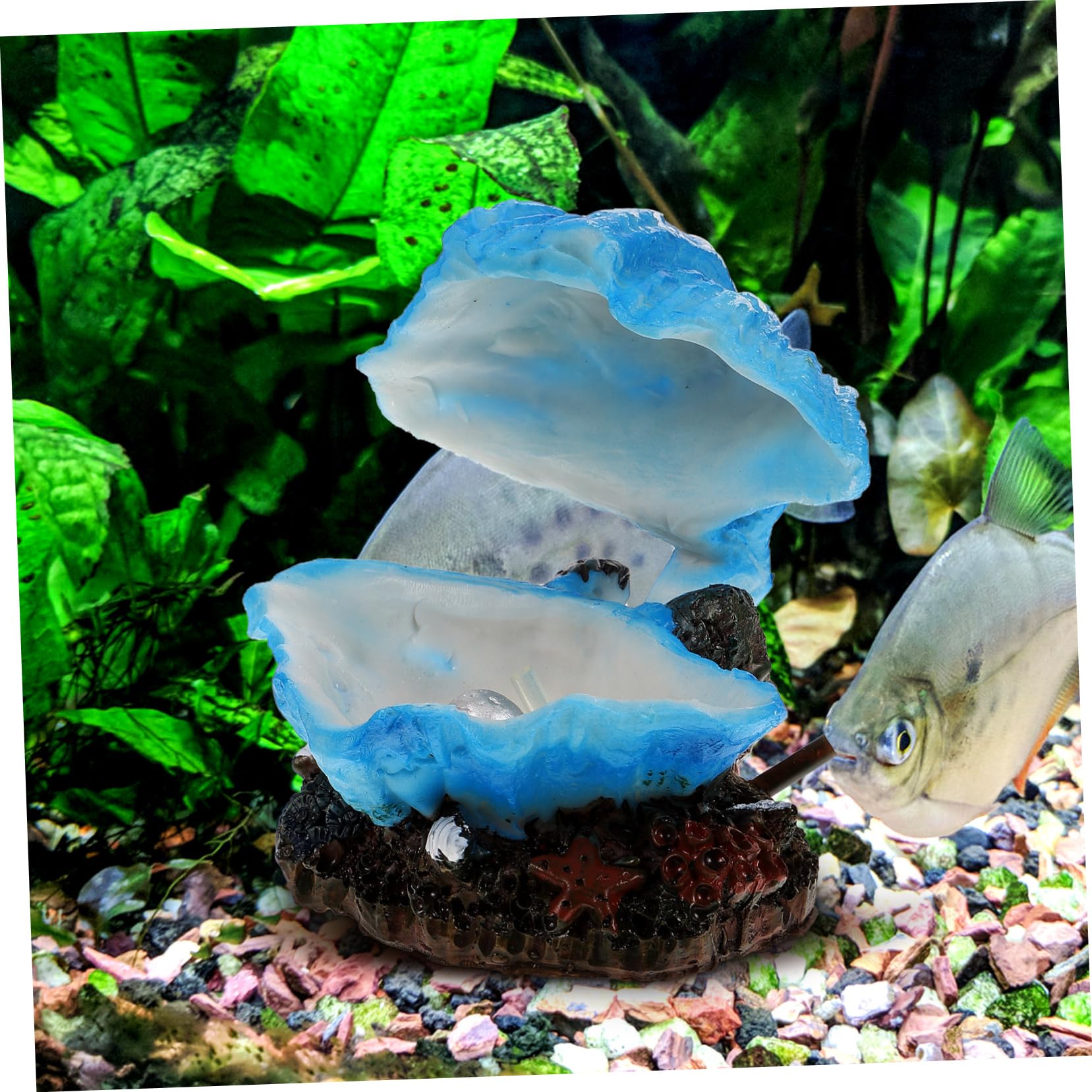 HANABASS 4stücke Delicate Simulation Shell Für Aquarien Künstliche Dekoration Mit Luftblaseneffekt Zubehör Für Fischbecken Lebensechte Gestaltung