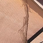 Review Image by D Robert Dunn