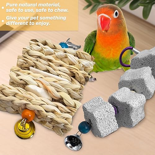 Miniatura 4 de PINVNBY Paquete de 2 juguetes para loros, juguete para masticar, pico de hueso de corte, jaula de piedra para colgar con campana para grises