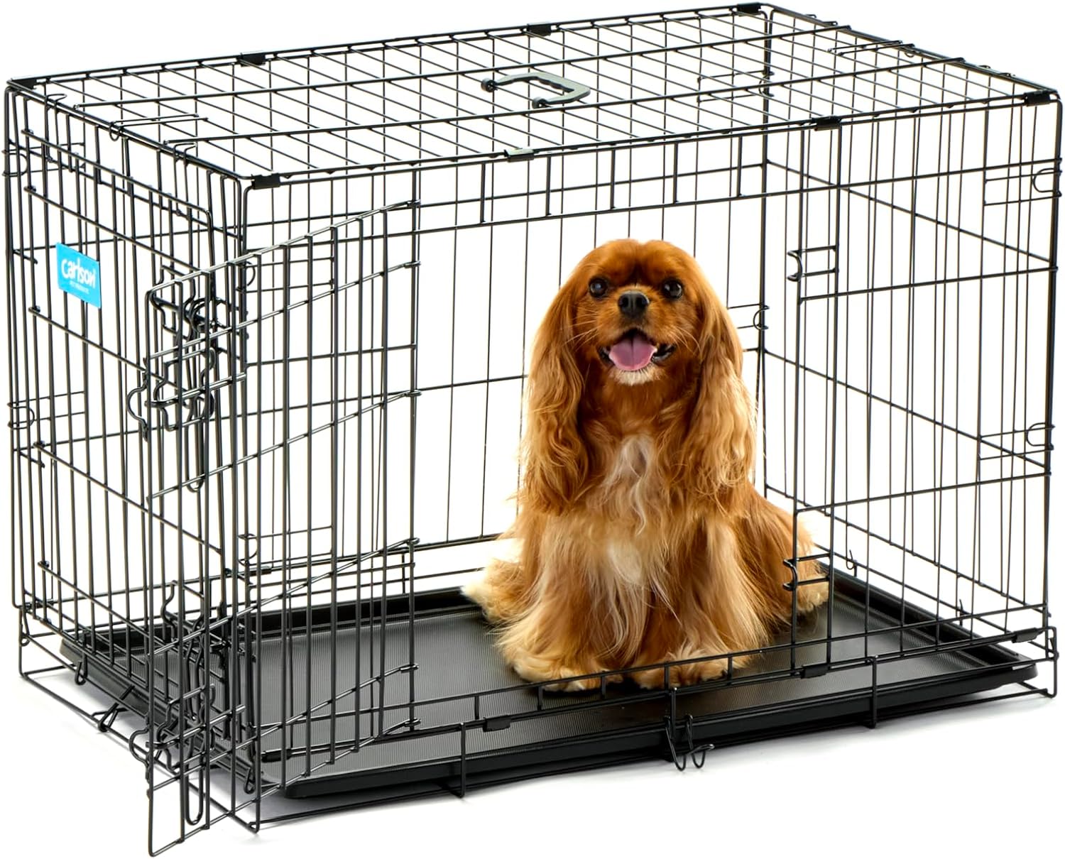https://m.media-amazon.com/images/I/81tOEP+clzL._AC_SL1500_.jpg