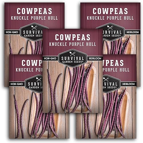 Paquete de 5 semillas de casco morado nudillo para plantar, paquete con instrucciones para cultivar deliciosos y nutritivos caupí en tu huerto