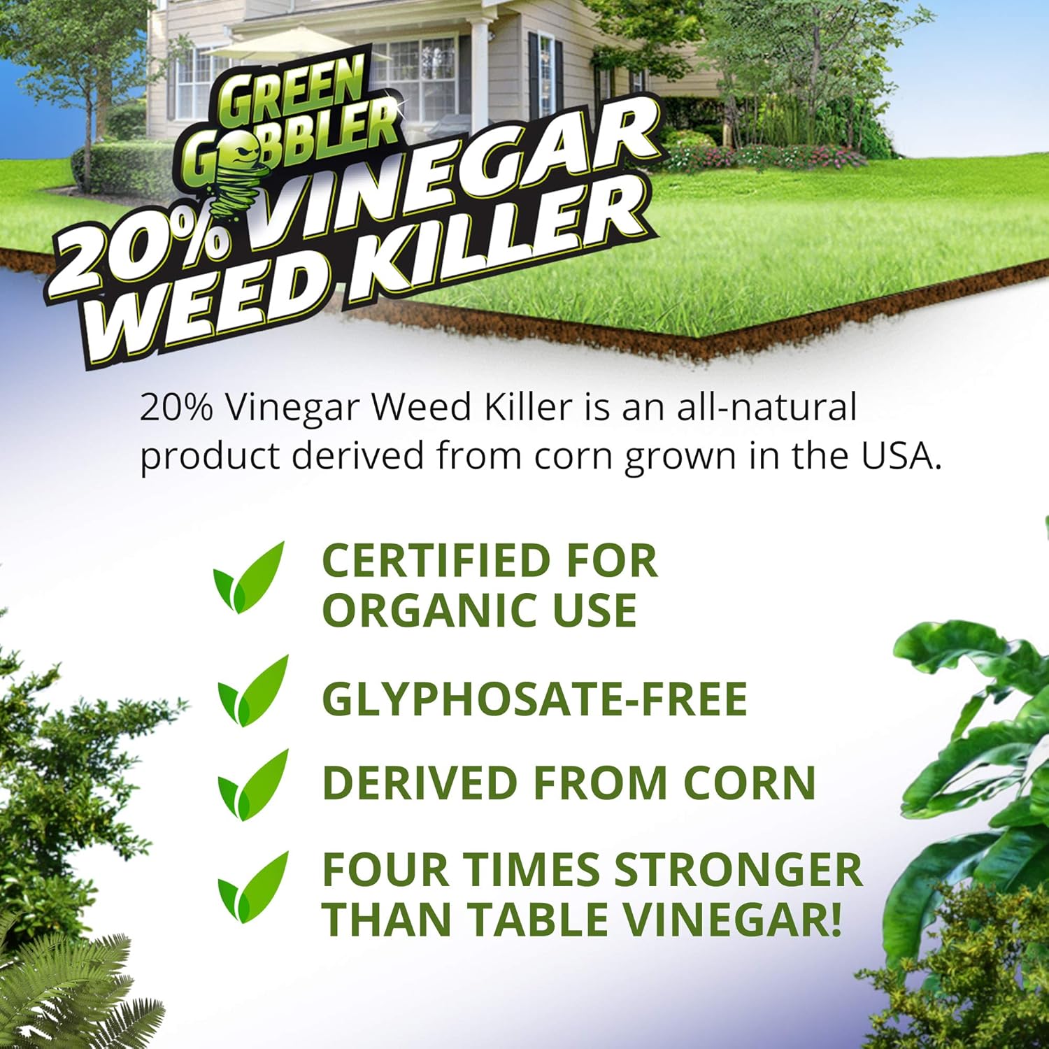 Buy Green Gobbler 20 Vinegar Weed & Grass Killer Natural and