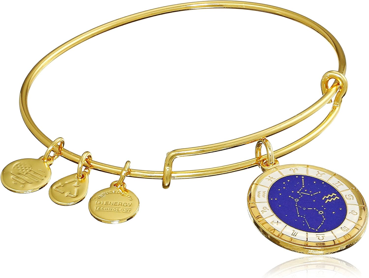 Alex and Ani Constellation Bangle Bracelet