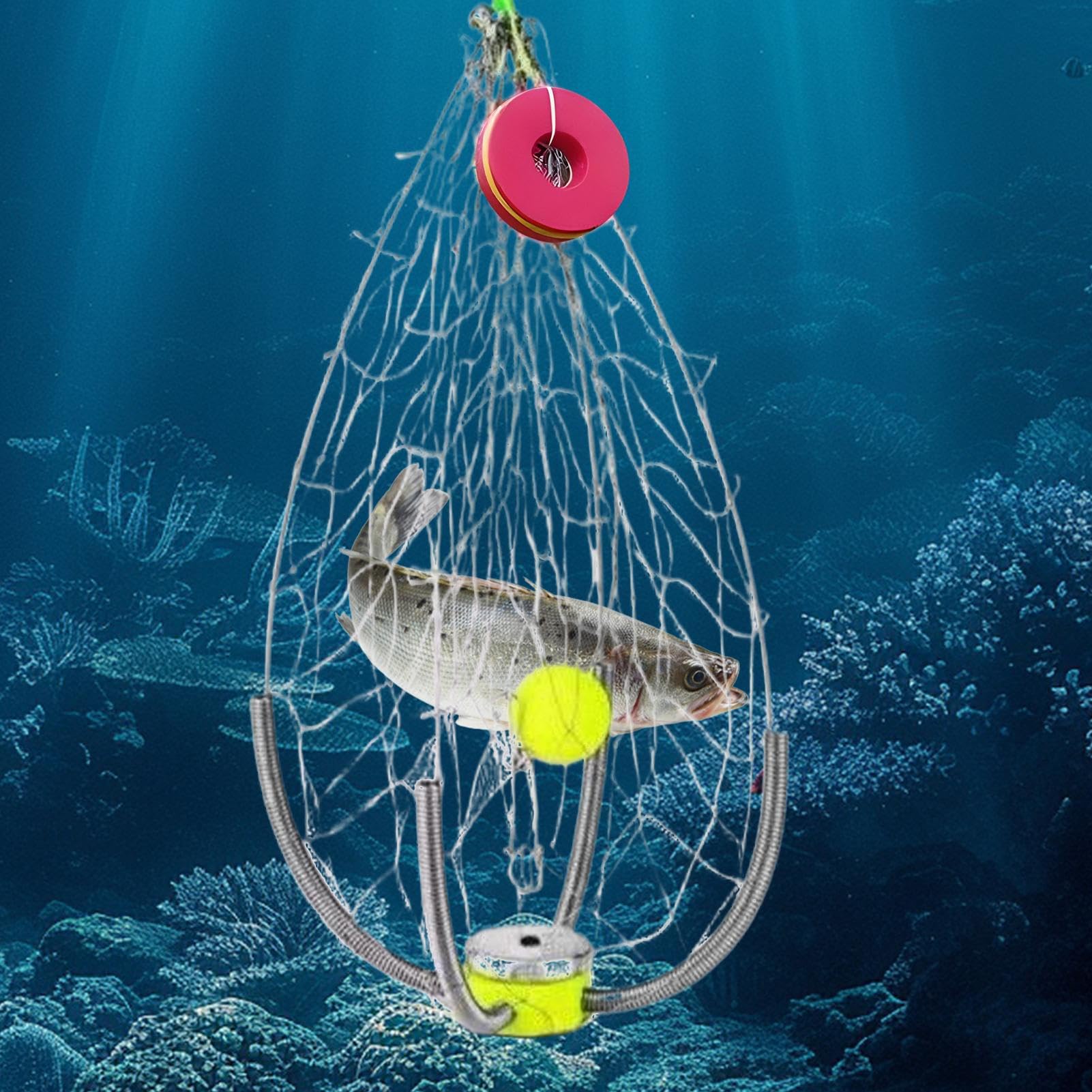 Trappola Granchi | Gabbia da in Acciaio Trappola Ceste per Pesci - Gabbia Pesata Per Gamberi Aragoste Pesciolini Acqua E Salata | Per Kayak Spiaggia Lago Pontile