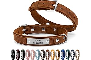 Personalized Dog Collars Leather