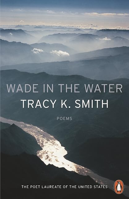 Portada de Wade in the Water