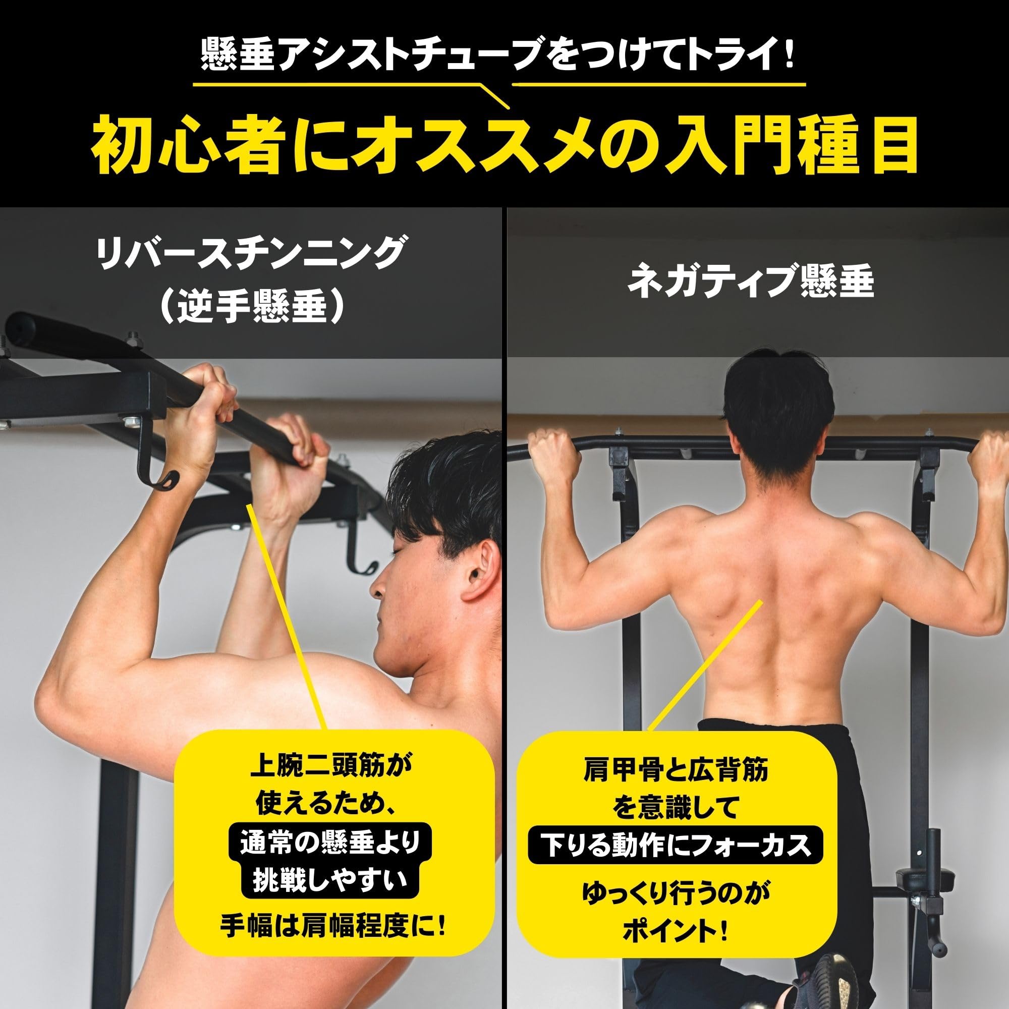 Amazon | STEADY 懸垂アシストチューブ 筋トレグッズ 最大70kg/85kg