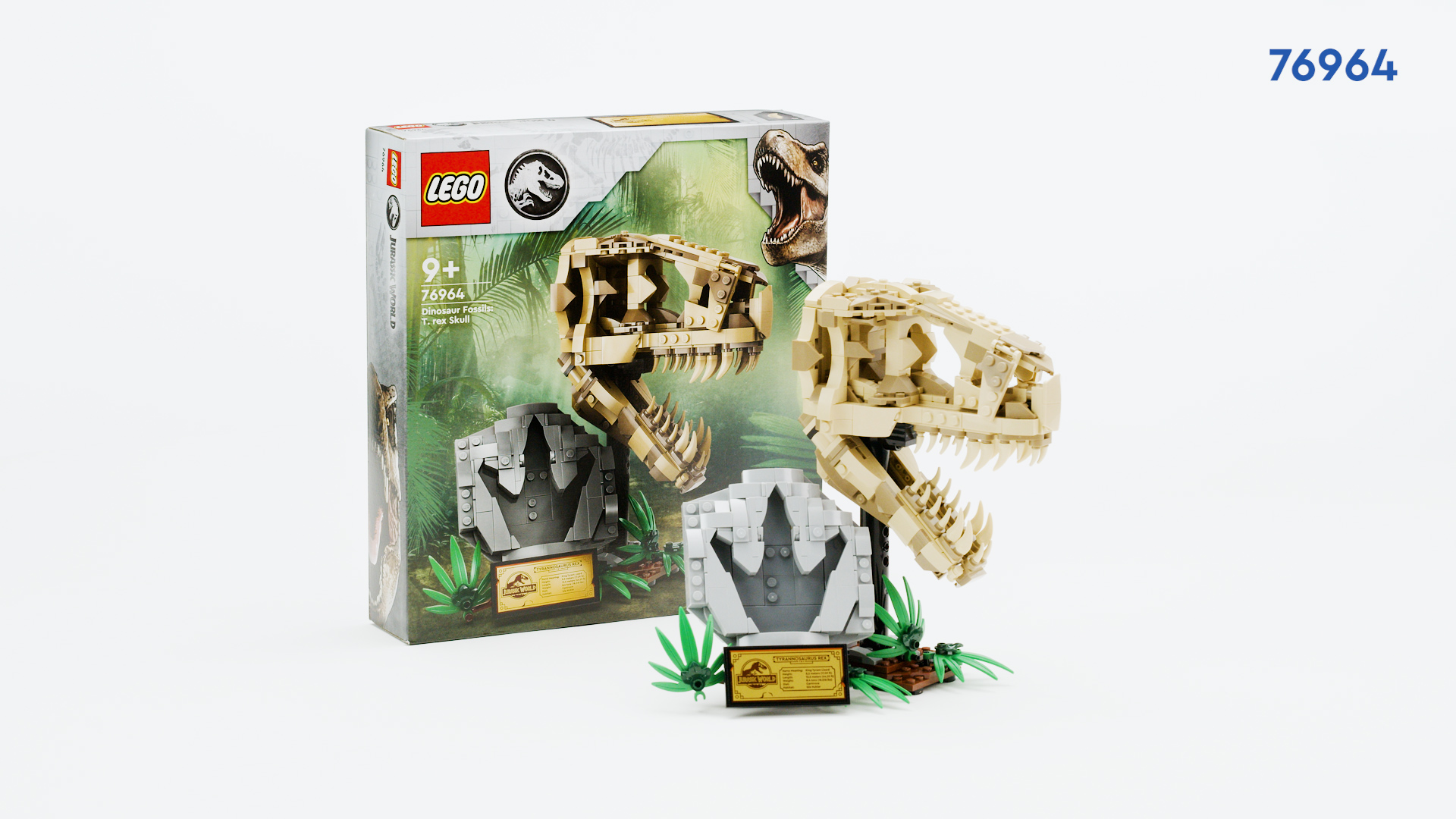 ※れお ONCE UPON A TIME IN AMERICA Once Upon a Time in America: Special Edition: Amazon.ca