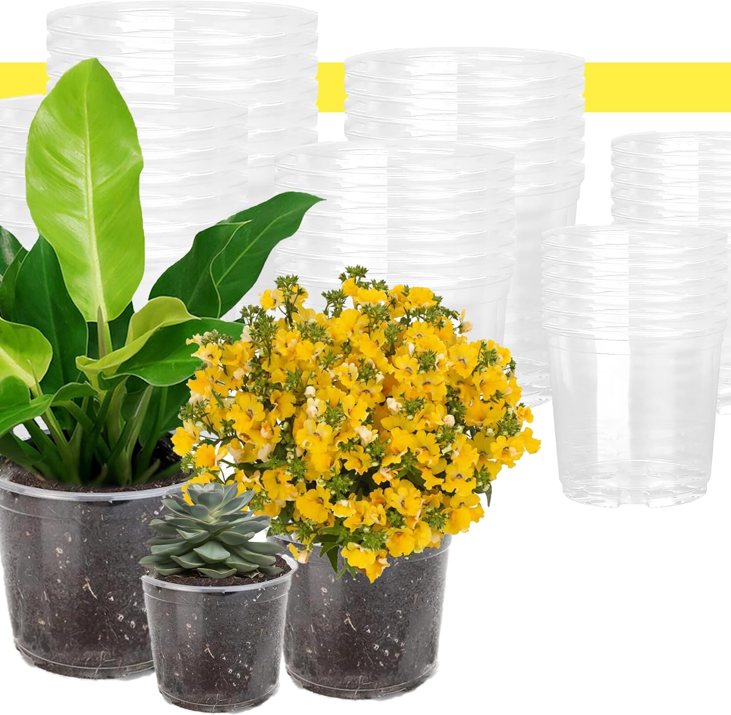 YARRD 36PCS Clear Nursery Pots with Drainage Holes 6/5/3