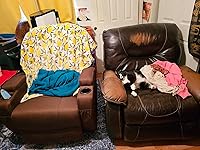 Review Image by Destiney Lubbers Destiney Lubbers