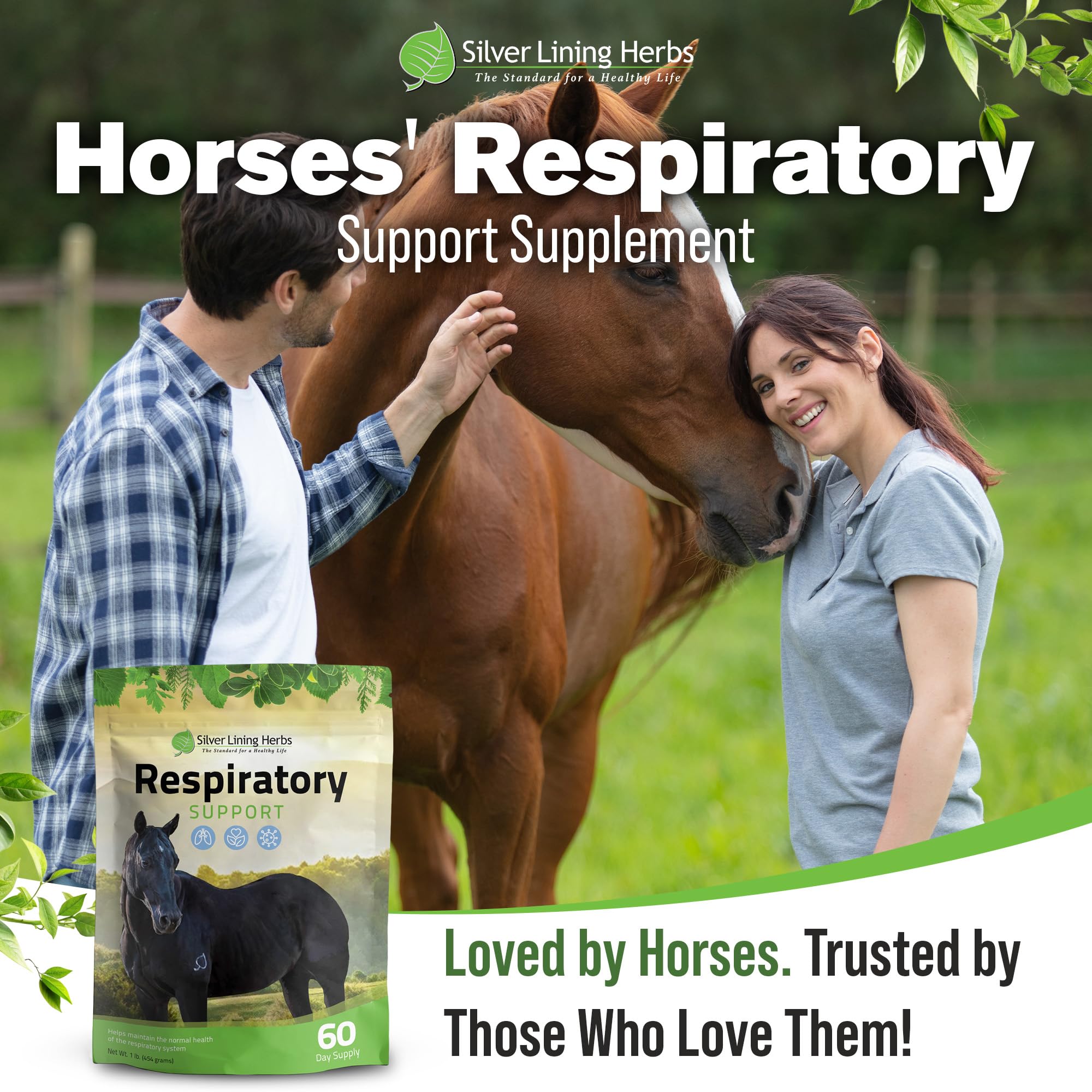 Respiratory Lung Support for Horses - 1 lb — Amazon image 6
