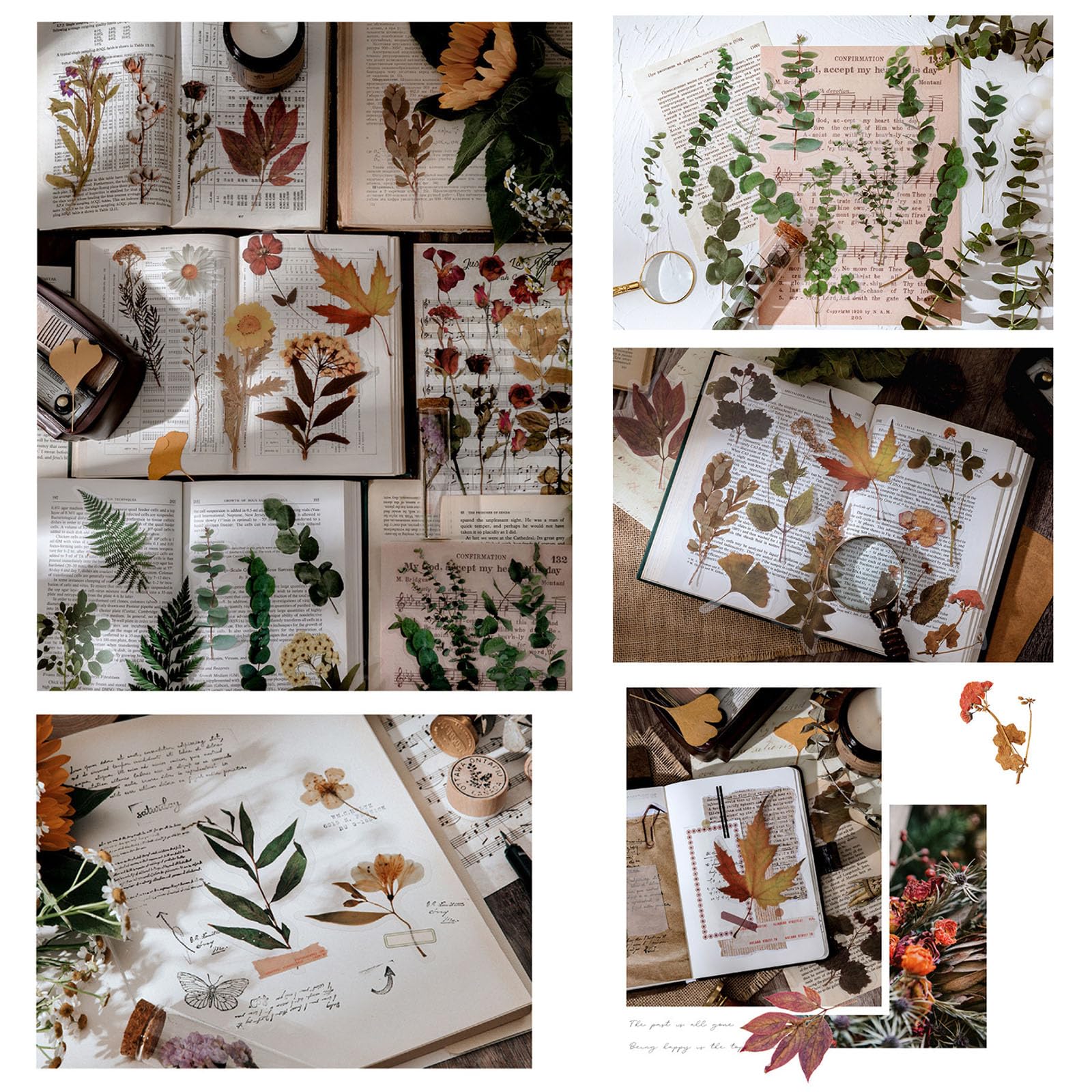 LakoArt 80-Piece Large Transparent Flower Stickers – Waterproof Vinyl Decals For Journals, Walls, & DIY Crafts