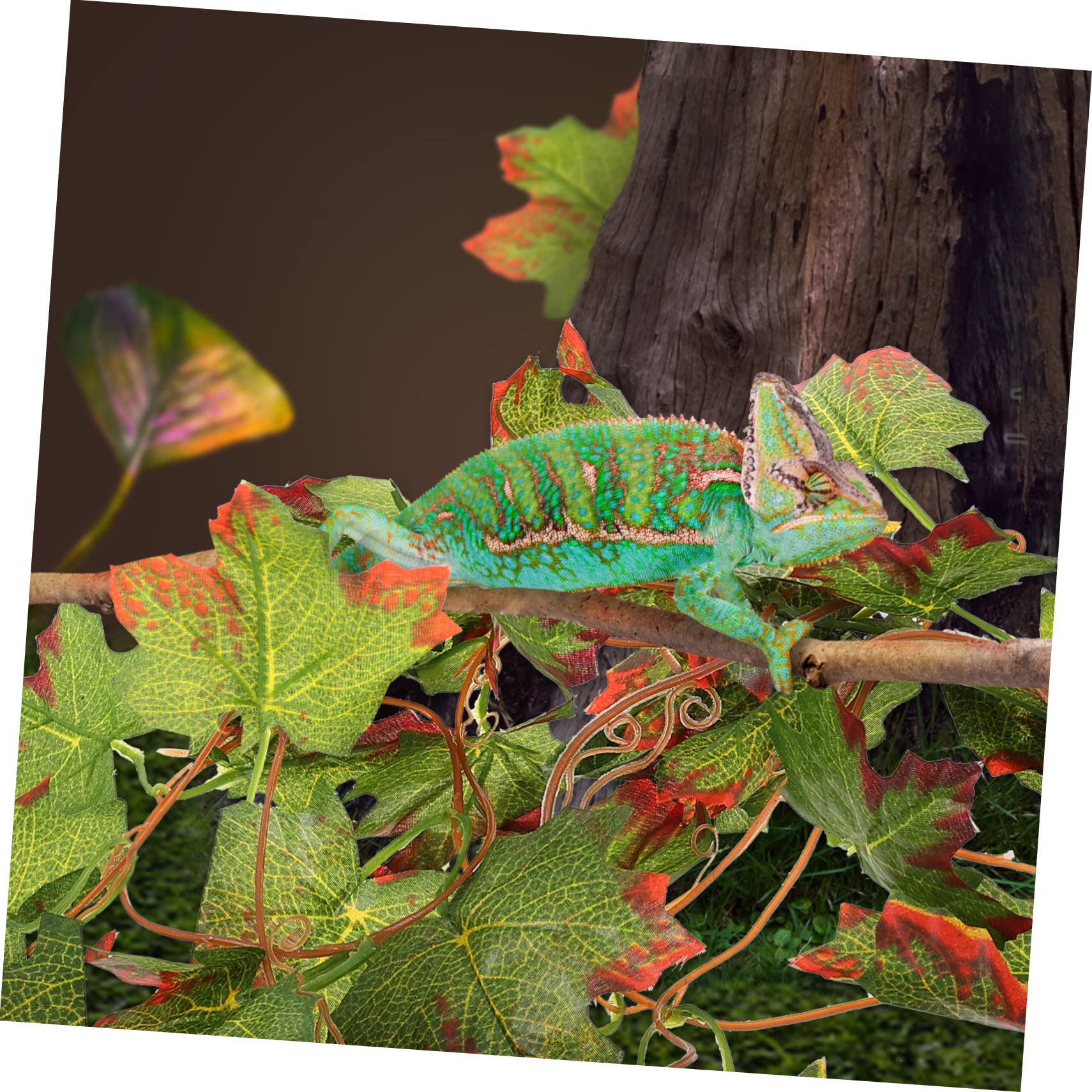 Angoily 5piezas Decoración De Terrario Plantas Imitadas para Reptiles De Simulación Natural Fácil Instalación Ventosa Decoración para Acuarios y Terrarios