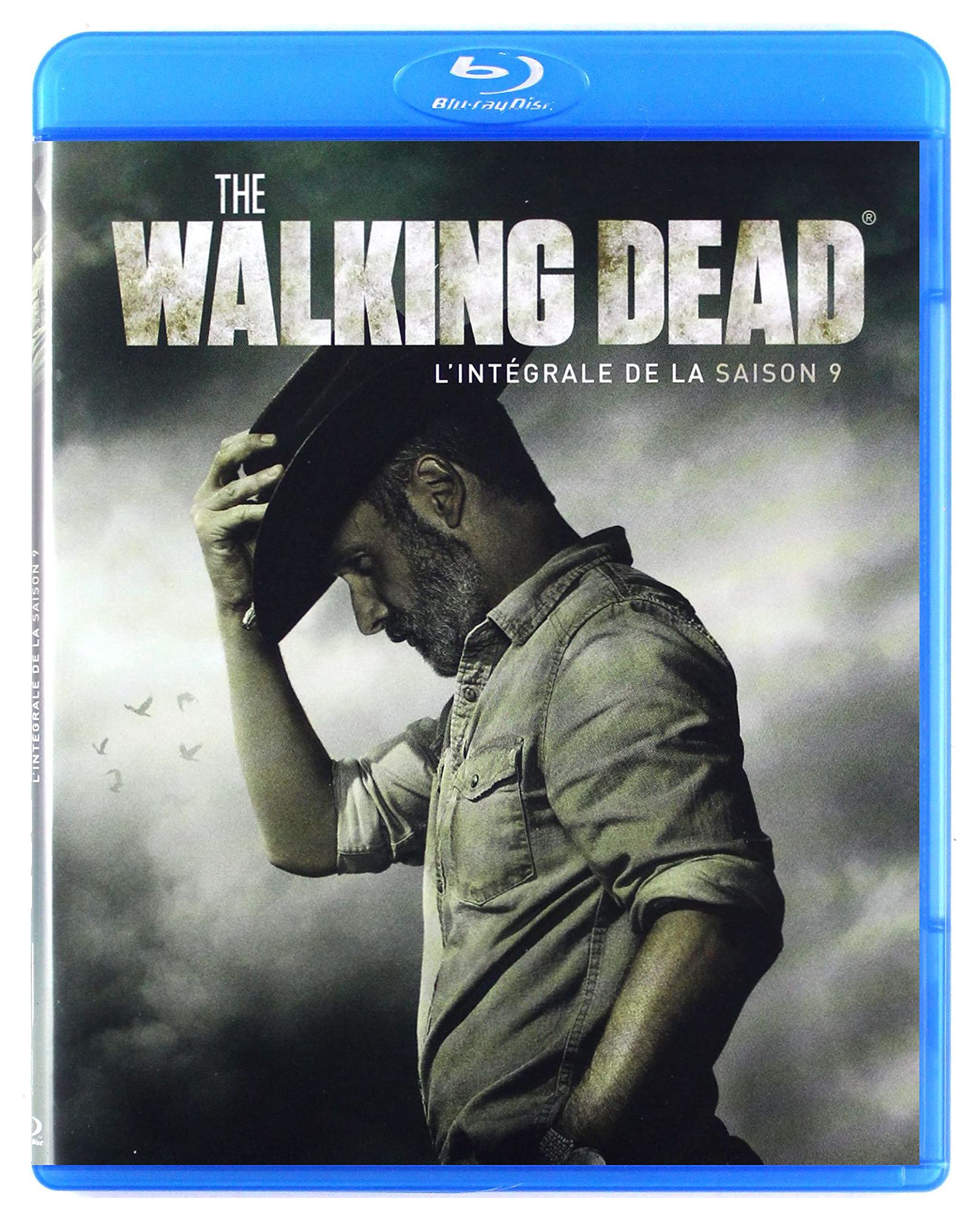 The Walking Dead Season 9 Blu-Ray Región B serie completa de importación 6 discos