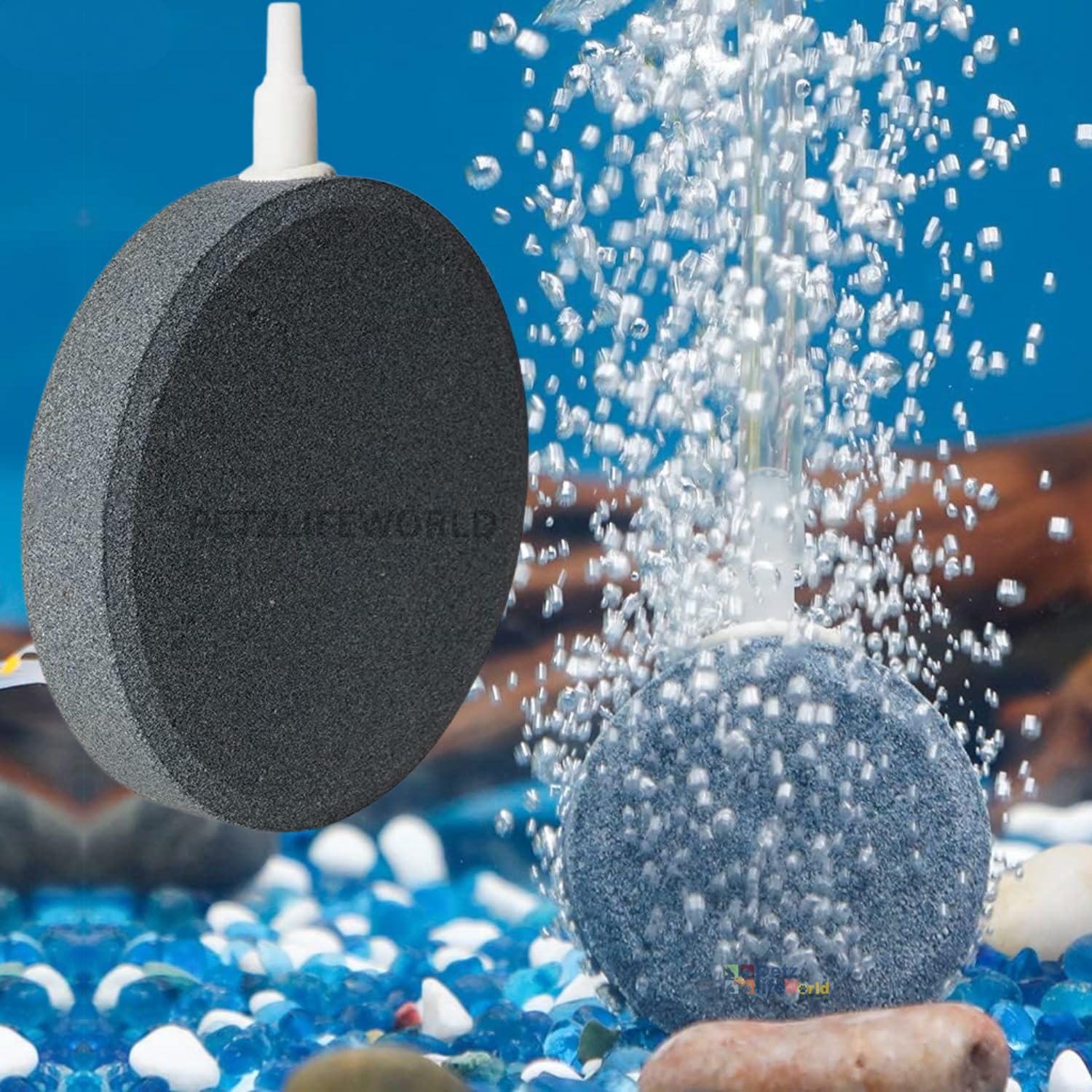 VAYINATO® DK-80 Grey Air Stone for Aquarium Fish Tank (Motor Not Included), Disc Aquarium Bubble Diffuser Diffuser Air Stone for Hydroponics Air Pump Bucket Small Ponds Reservoir by Petzlifeworld (B0CZ3XZQRC) Amazon Price History, Amazon Price Tracker