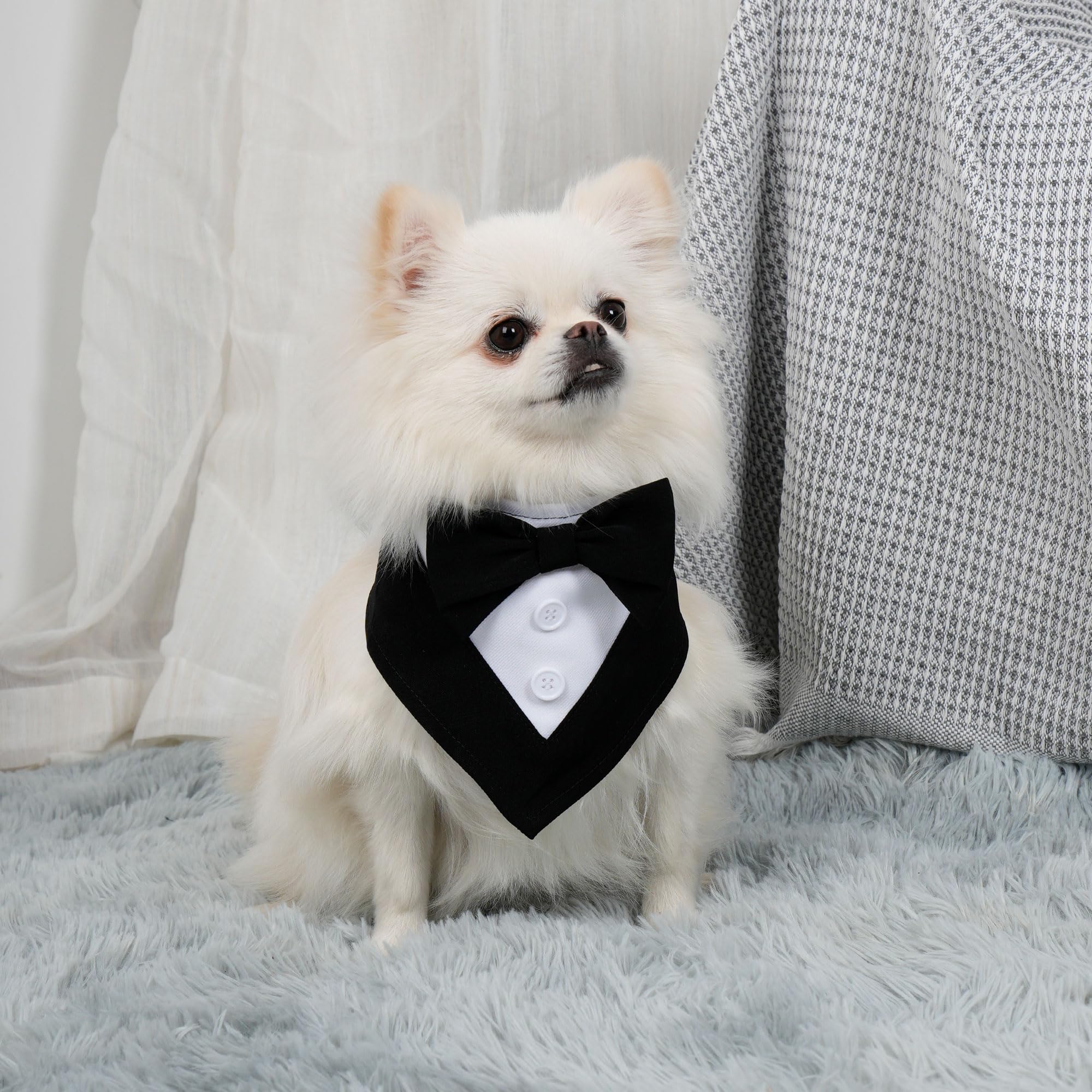 cyeollo 2pack Dog Tuxedo Bandanas for Small Medium Dogs Adjustable Bow Tie Dog Wedding Collar Pet Holiday Party Birthday Dog Costumes, Black & Striped L