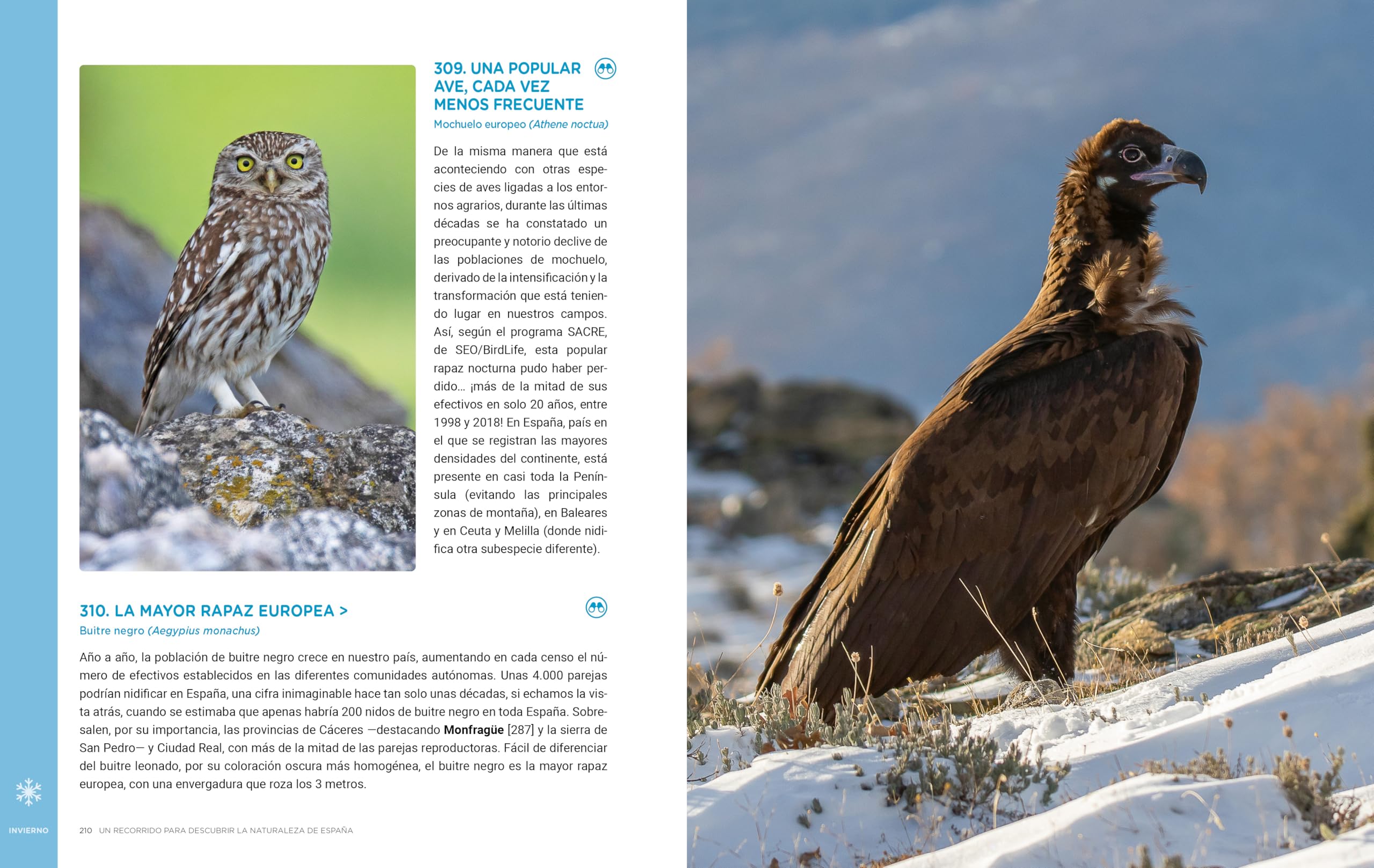 Un recorrido para descubrir la Naturaleza de España.: 365 Propuestas imprescindibles (Guías Singulares)