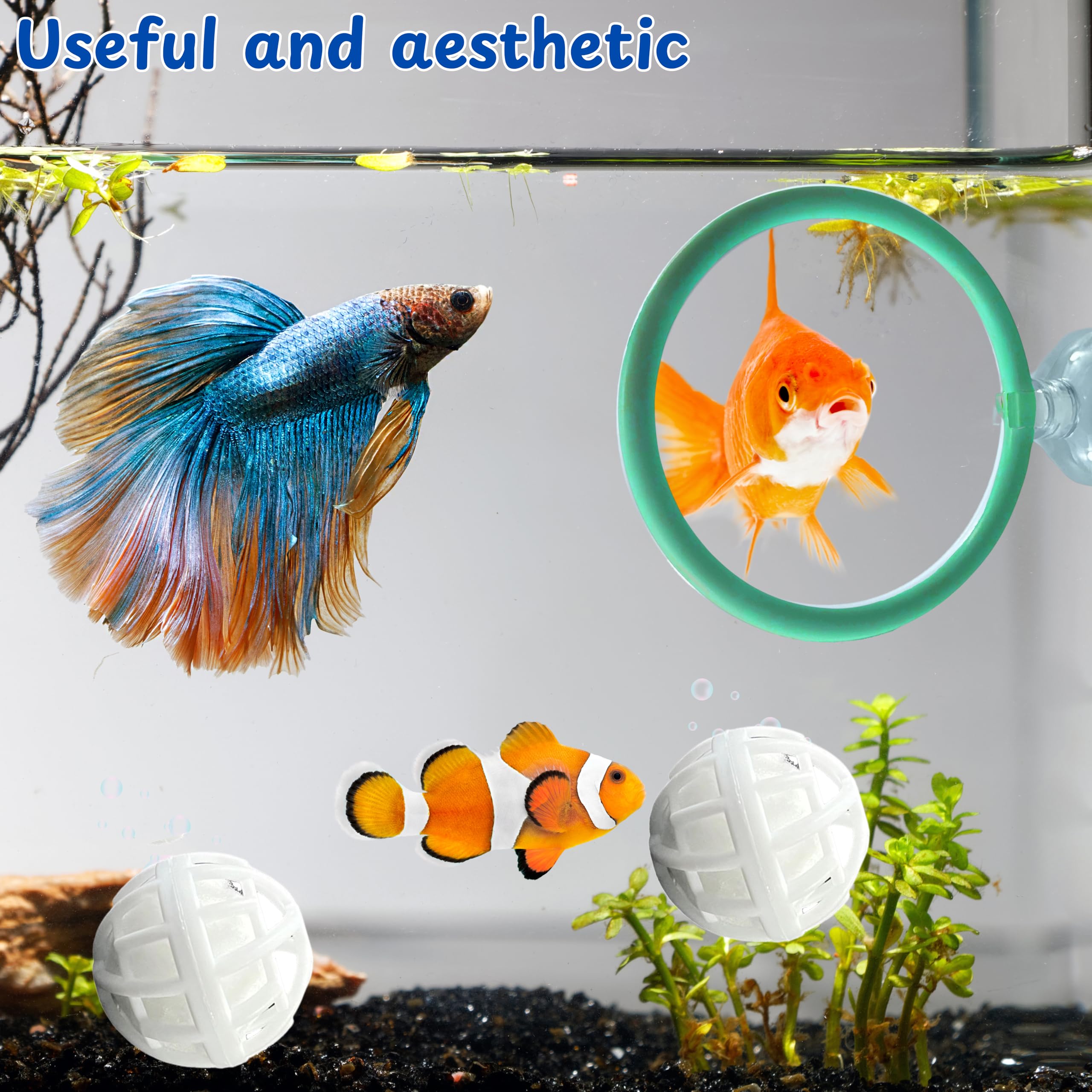 betta fish boxing ring Amazon.com : Betta Fish Exercise Ring and Filter Balls Set, Fish Feeder Ring  and Nitrifying Ball, Betta Fish Toys for Small Tank, Betta Ring, Beta Fish  Training Loop, Aquarium Toys for Pets
