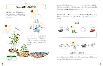 【ヒトガタリ屋 昭和通り】より※見本 ヒトガタリ屋 昭和通り】創作人形/樹脂粘土ベビー/リボーン