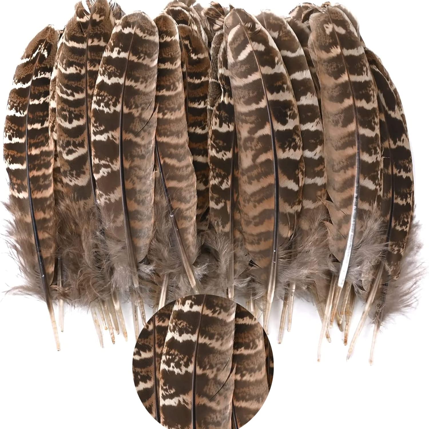 50pcs Pheasant Feathers,DIY Pheasant Tails Natural Feather,1014cm Soft Native Plume,DIY Dream