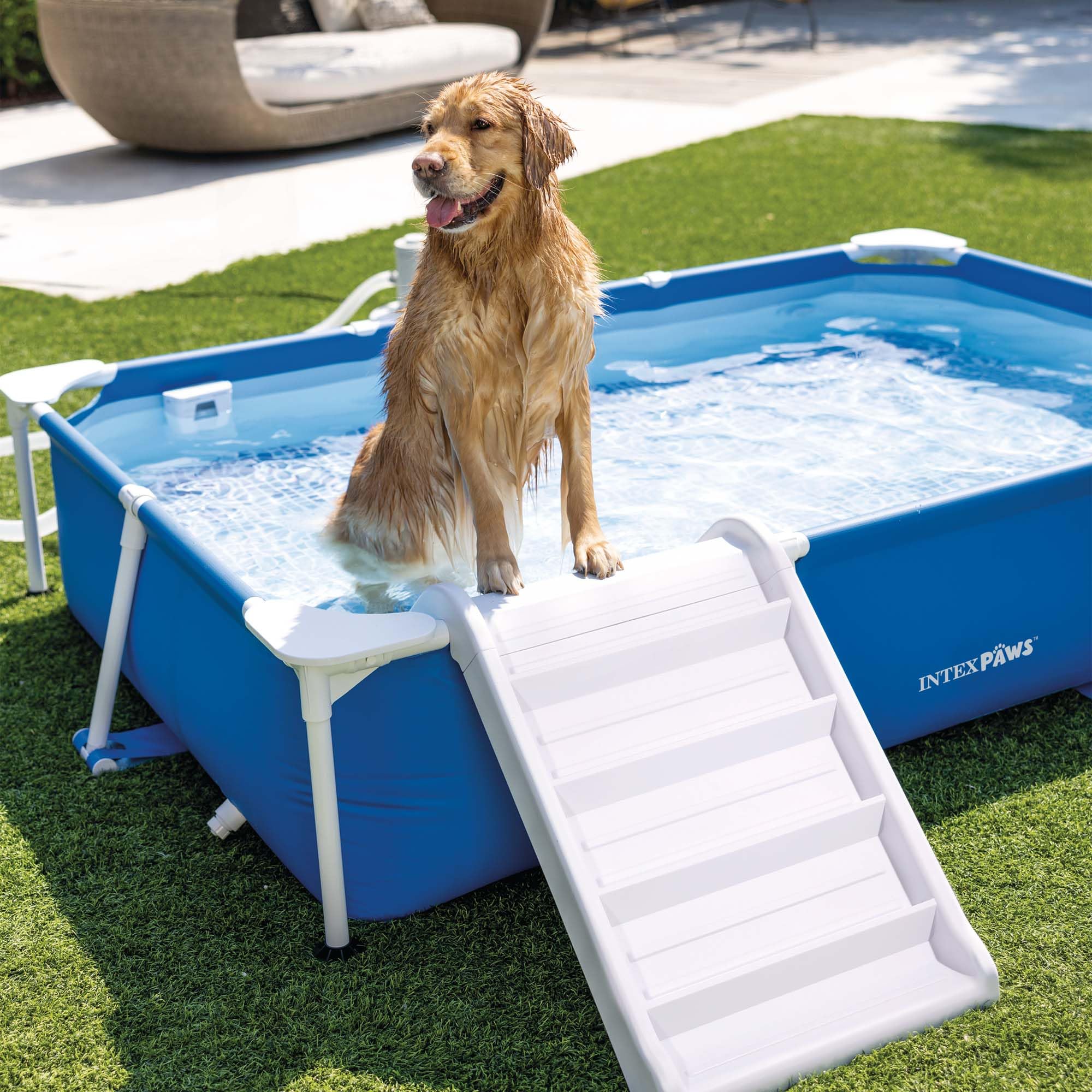 Piscina Pieghevole Rettangolare 254x165x53 Cm – Non Gonfiabile, Struttura In PVC E Alluminio, Per Bambini, Adulti E Cani, Facile Da Montare E Riporre - 5