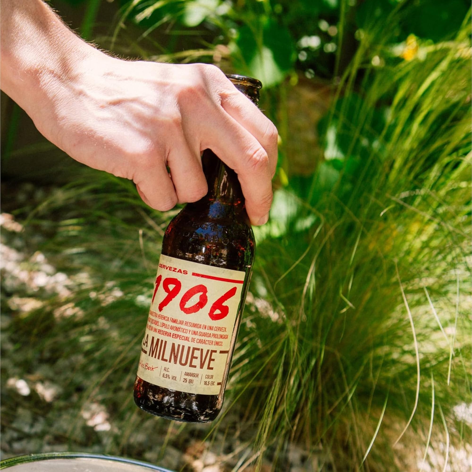 1906 Reserva Especial - Cerveza Lager Extra, Pack de 24 Botellas x 33 cl, Sabor Amargo y Aroma Tostado, Galardonada Internacionalmente, 6,5% Volumen de Alcohol