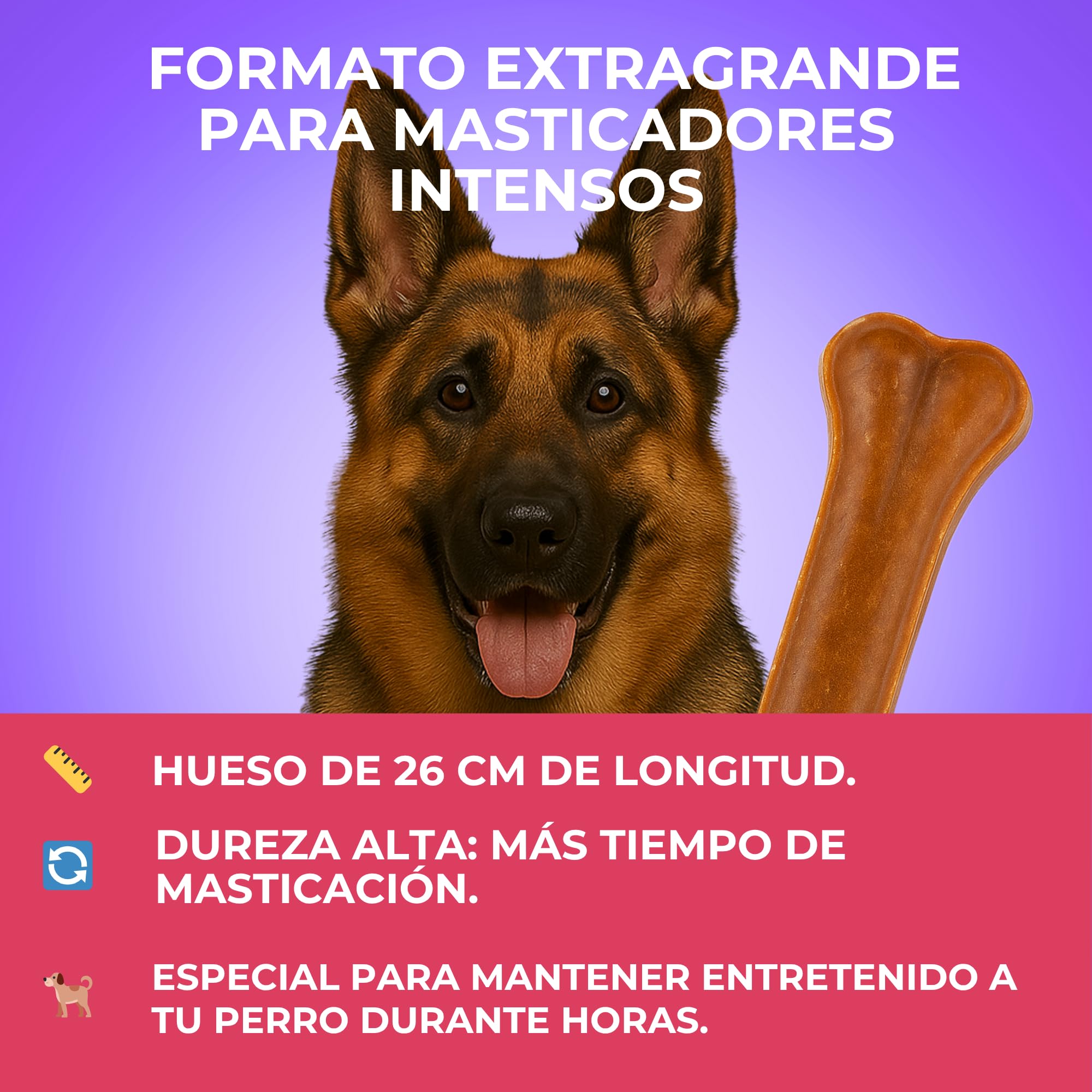 MOLY Lot de 10 os pressés pour chiens 26 cm | Snack naturel pour mastication prolongée | Renforce la santé dentaire et les gencives | Faible en gras | Idéal pour chiens moyens et grands