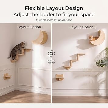 Cat Wall Shelves, Solid Wood Moon Bed, 3-Step Ladder & Perch for Climbing