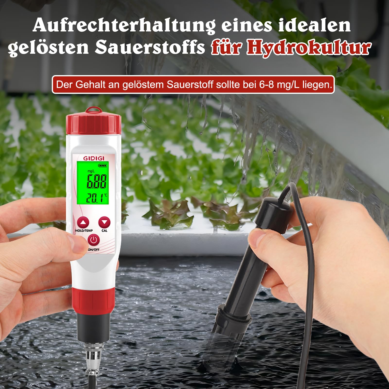 Sauerstoffmessgerät DO-Messgerät mit austauschbarer Membrankappe 0,0–40,0 mg/l für Teich Aquarium Abwasser