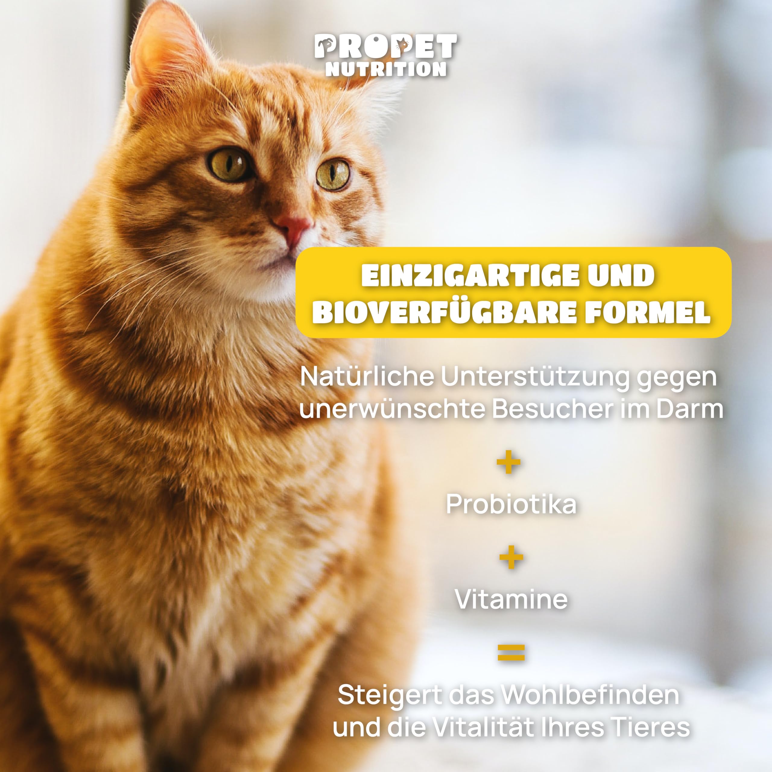 W-Kur Katze. Kräuter-Komplex für Katzen. 120 Tabletten. Natürliche Rezeptur mit Probiotika & B-Vitaminen. Ergänzungsnahrung zur täglichen Unterstützung