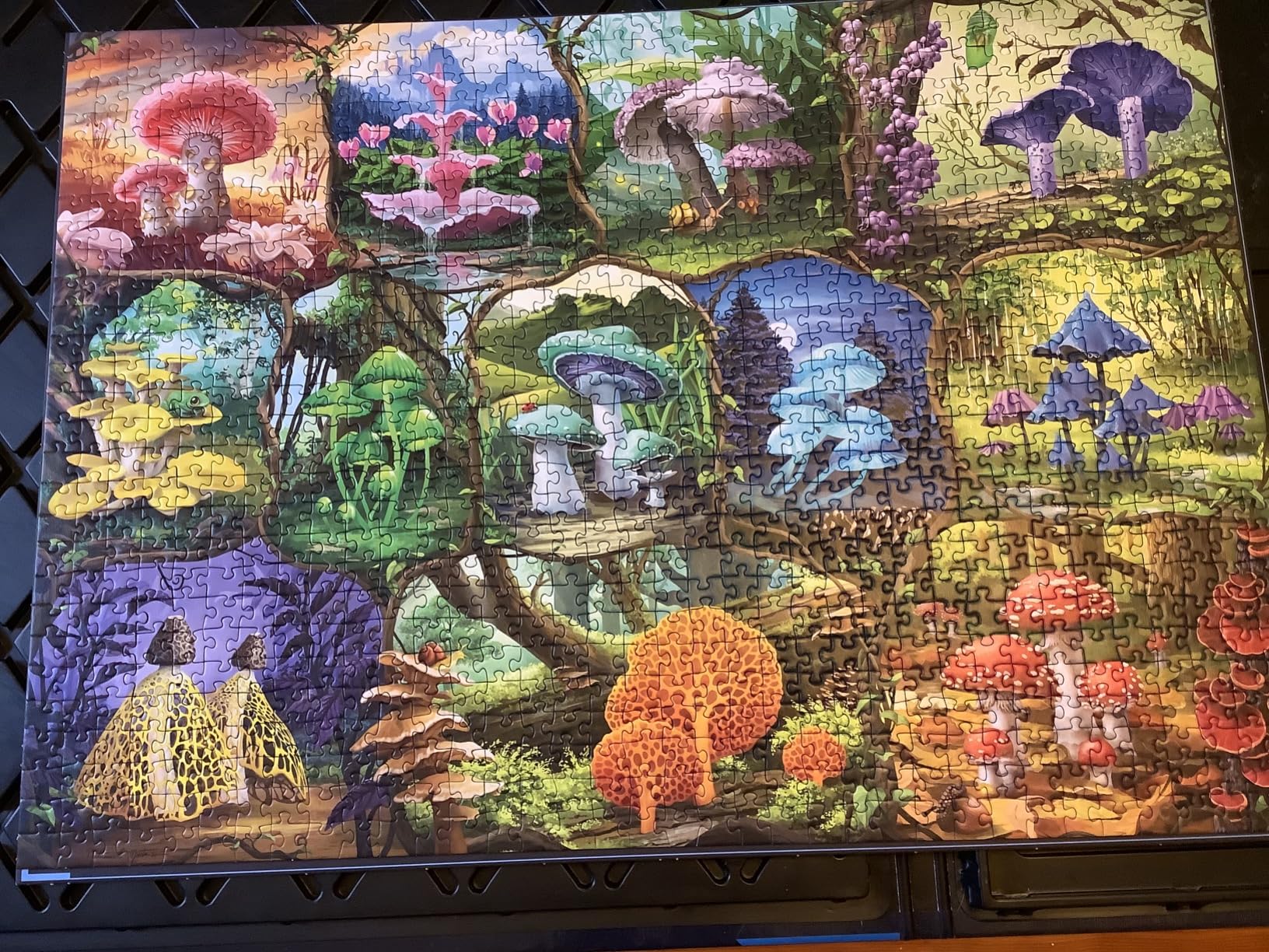 Ravensburger Beautiful Mushrooms 1000 Piece Jigsaw Puzzle for Adults