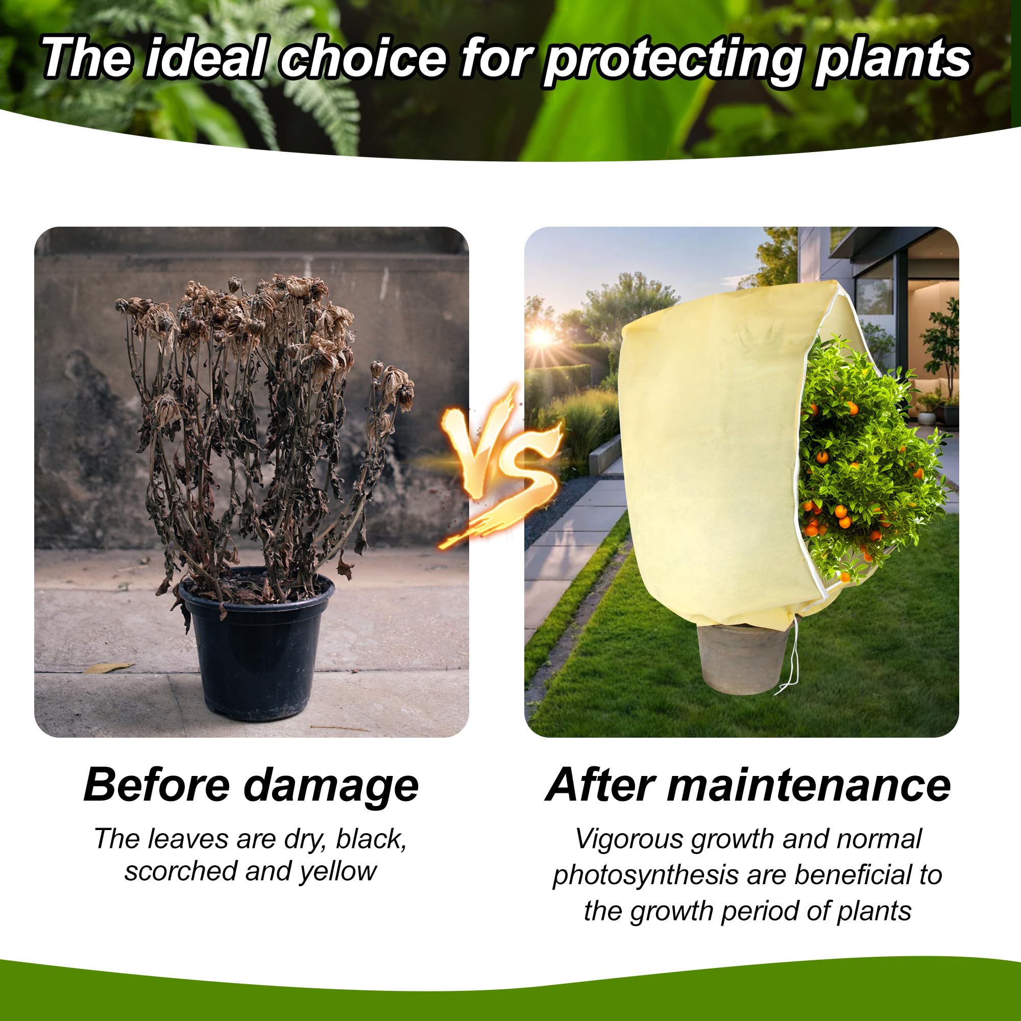 3 PCS Funda para Plantas 180x120cm 85g/m², Malla Antiheladas con Cremallera y Cordón, Manta Termica Plantas Resistente y Reutilizable, Cubre Plantas Invierno para Árboles y Arbustos