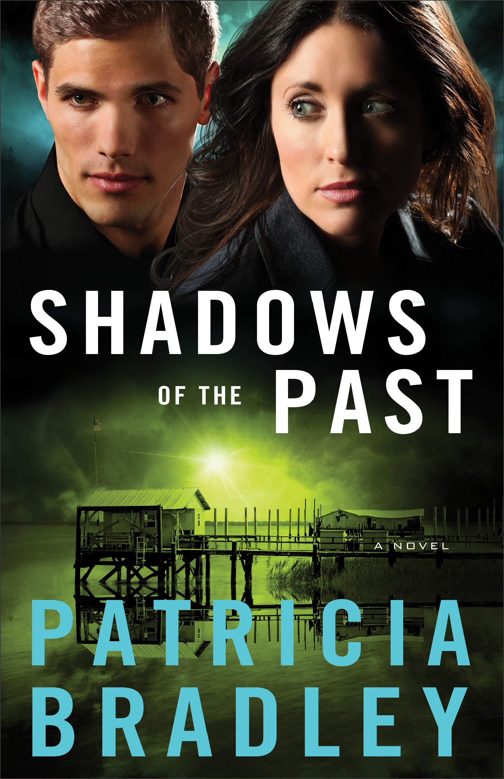 Shadows of the Past - A Novel: 1 (Logan Point)