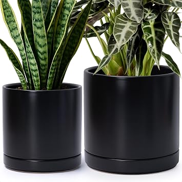 Dvine Dev 8.2 Inch & 10 Inch Ceramic Planter Pot for Plants with Drainage Hole and Saucer, Large Plant Pots Set, Black, 94-G-L-2