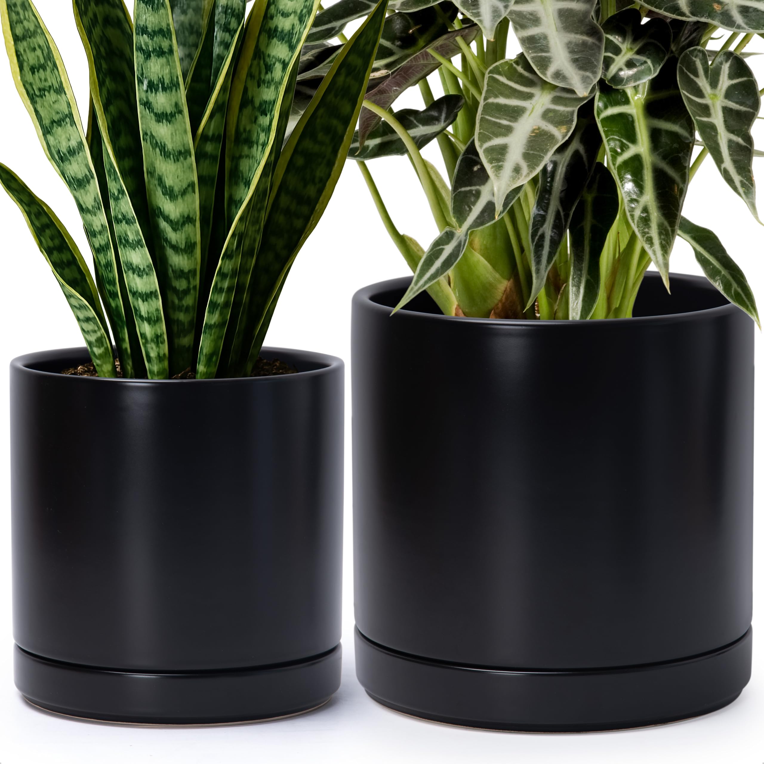 鉢・プランター CERADEMIC POT black spicygem x botanize Amazon.com : D'vine Dev 8.2 Inch & 10 Inch Ceramic Planter Pot for