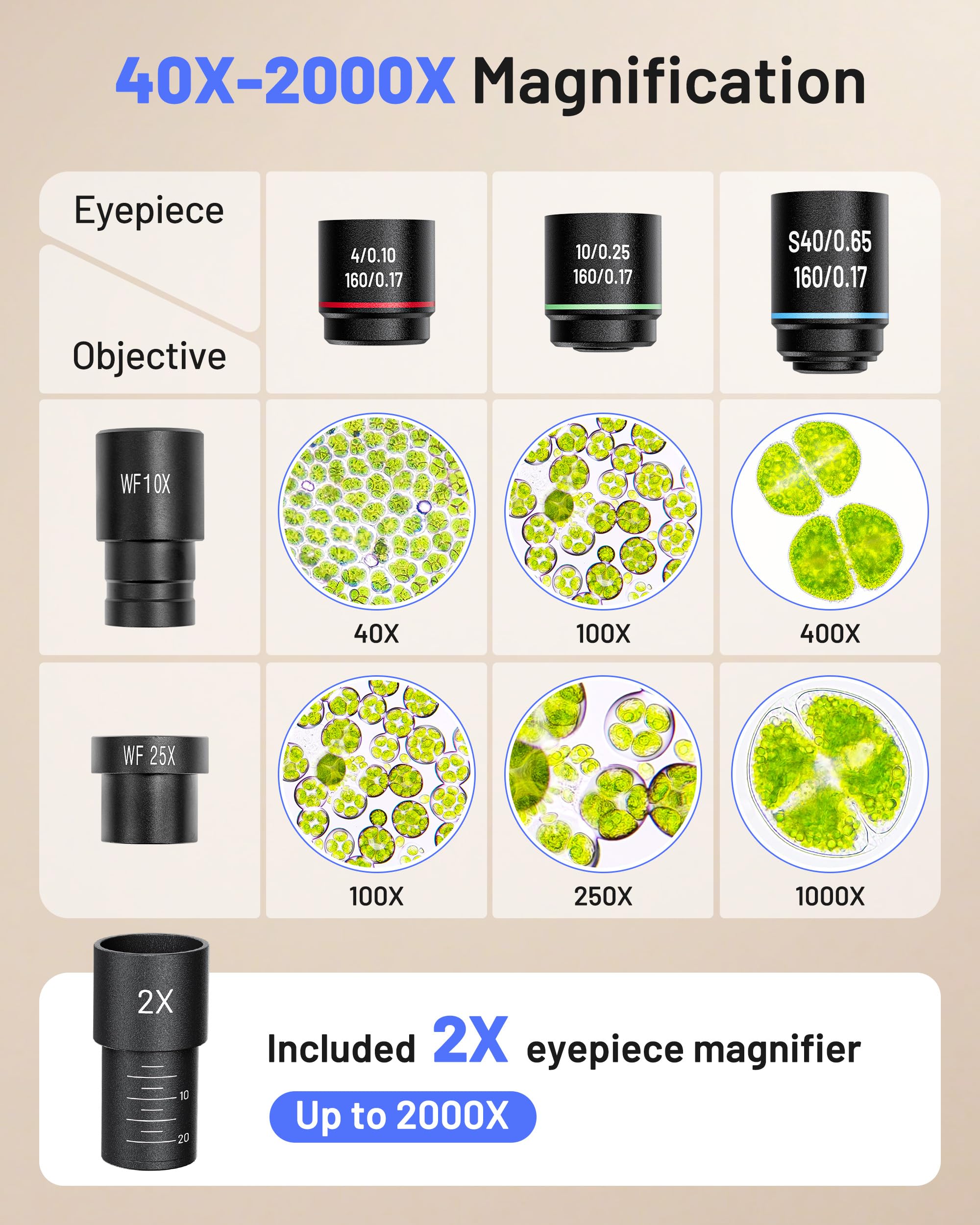 TOMLOV Microscope - Explore the Microscopic World -5