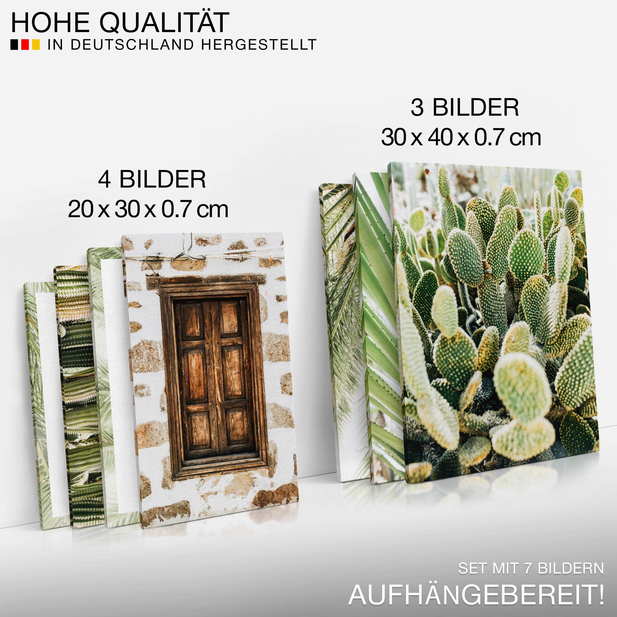 Novart Wandbilder Natur Pflanzen - KOMPLETT AUFHÄNGFERTIG - Mit Spruch Wohnzimmer Schlafzimmer - 7 Moderne Mood-Bilder - N015371a