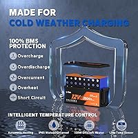 Vista 2 de Litime 12V 200Ah Plus LiFePO4 Lithium Battery, Self-Heating & Low Temperature, 2560Wh Energy, Built-in 200A BMS, 4000+ Deep Cycles for RV Home