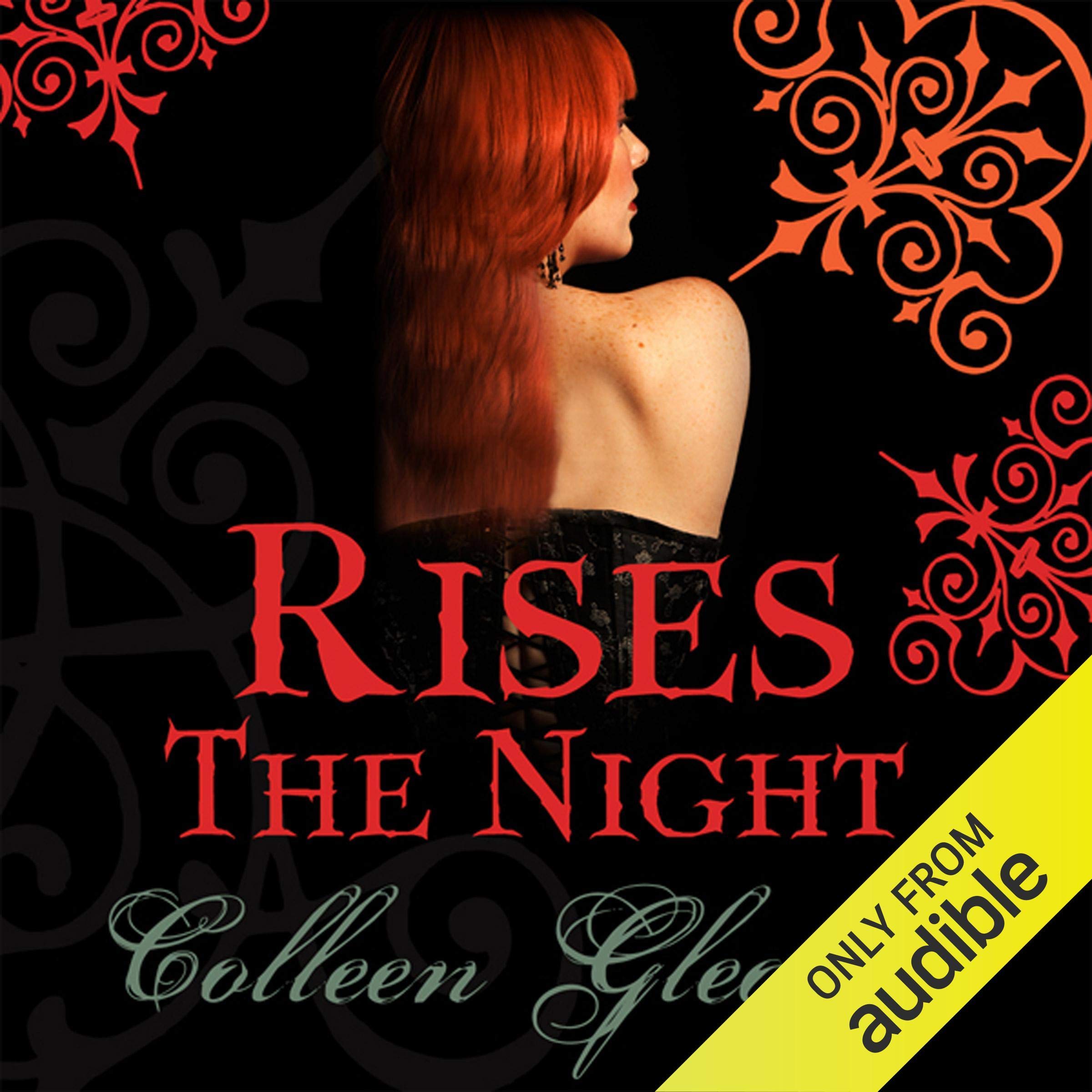 Cover art for Rises the Night
