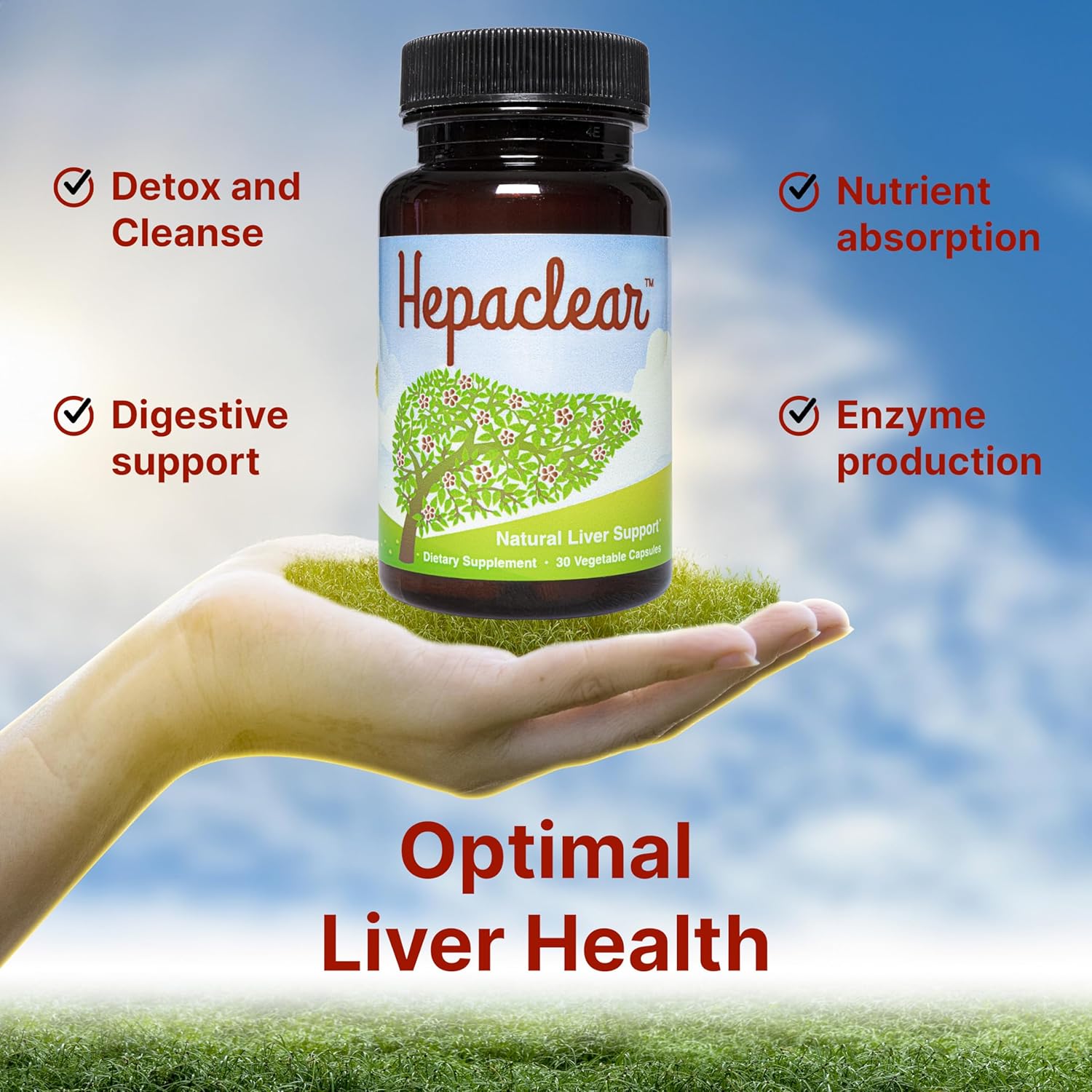 Natural Liver Support Supplement with Hesperidin - Non-GMO, Vegan, Gluten-Free - Image 2