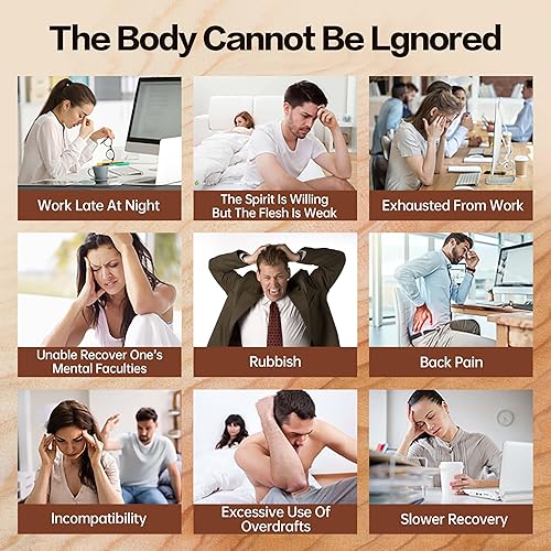 Miniatura 3 de Monbrizz fórmula de té de riñón Ginseng Seis tesoro té te divina, raíz de maca, bayas de Goji, fórmula de riñón de cúrcuma ginseng ocho tesoros