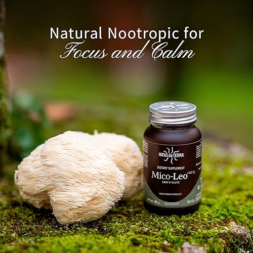 Miniatura 5 de Hifas de Terra Mico-Leo - Cápsulas orgánicas de suplemento de melena de león, extracto de hongo de melena de león, nootrópico para el cerebro, la