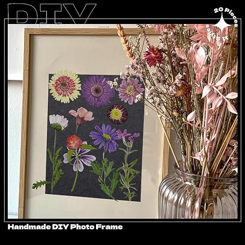 Miniatura 7 de CONVELIFE Flores prensadas, 40 piezas de flores naturales reales con pinzas, flores secas para resina, bricolaje, joyería, velas, jarrón,