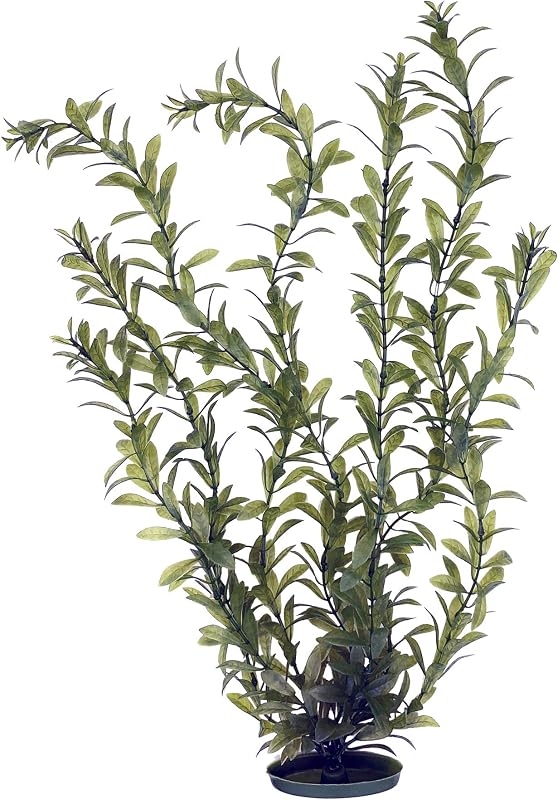 Marina Aquascaper Decoración para pecera, planta Hygrophila, 20 pulgadas