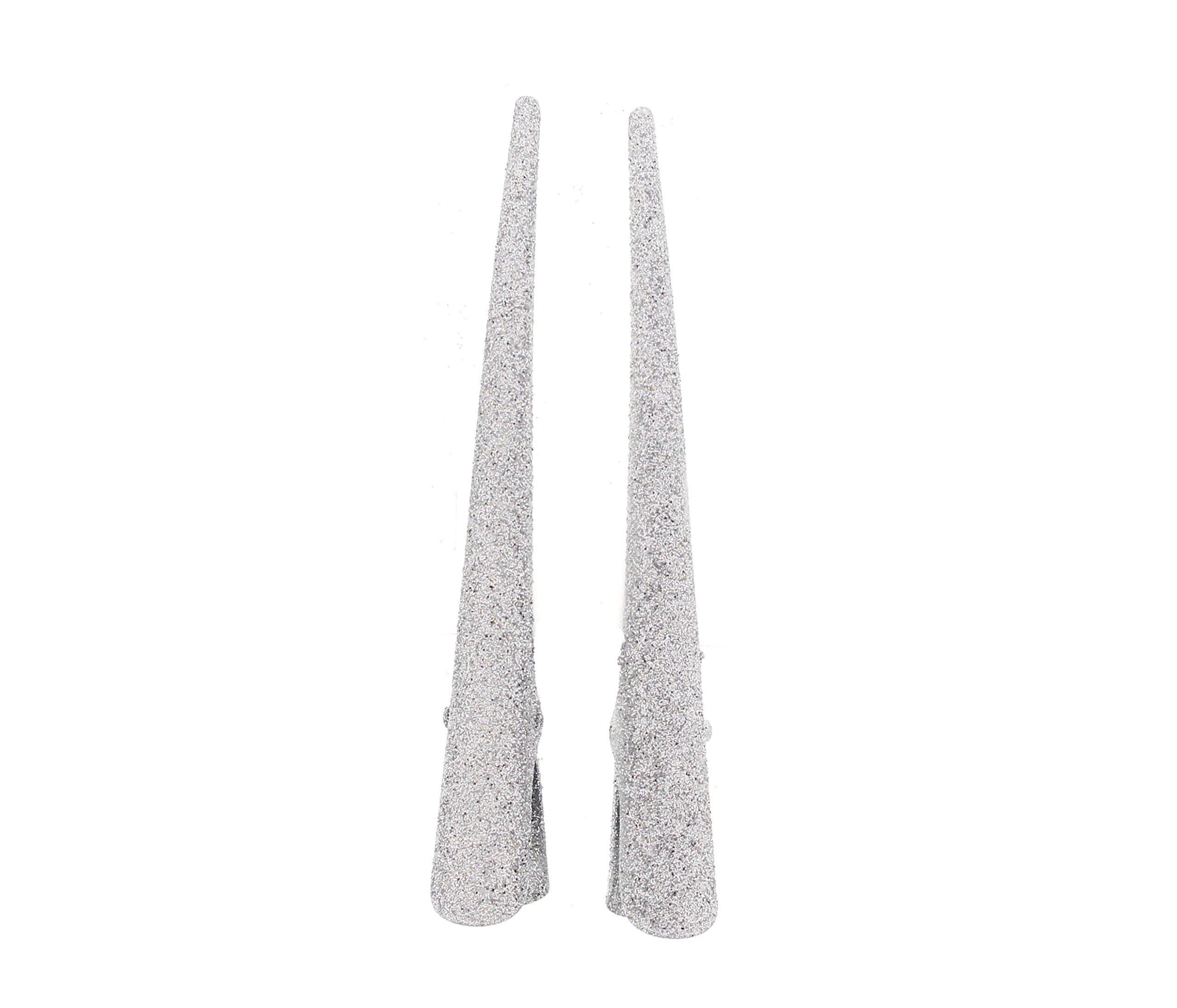 Zac's Alter Ego Pair of Long Beak/Concord Hair Clips