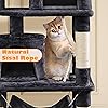 Product Photo 5