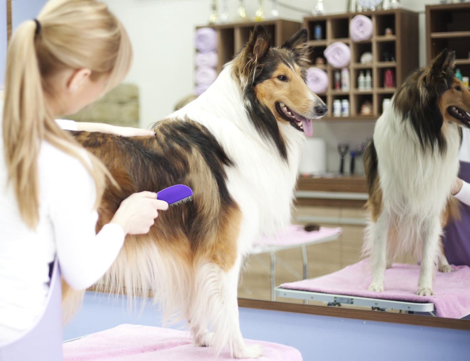 Comb with Double Row of Teeth By Hertzko – Double Row of Closely Spaced Metal Pins Removes Debris from Your Pet’s Coat - Suitable For Dogs And Cats : Pet Supplies