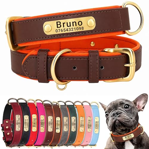 SEOUGEE Collar de perro de cuero genuino personalizado, suave y acolchado