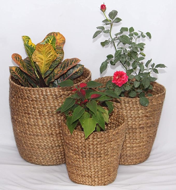 Pot Plant Cover/Planters/Tub in Natural Water Hyacinth Reeds, Set of 3