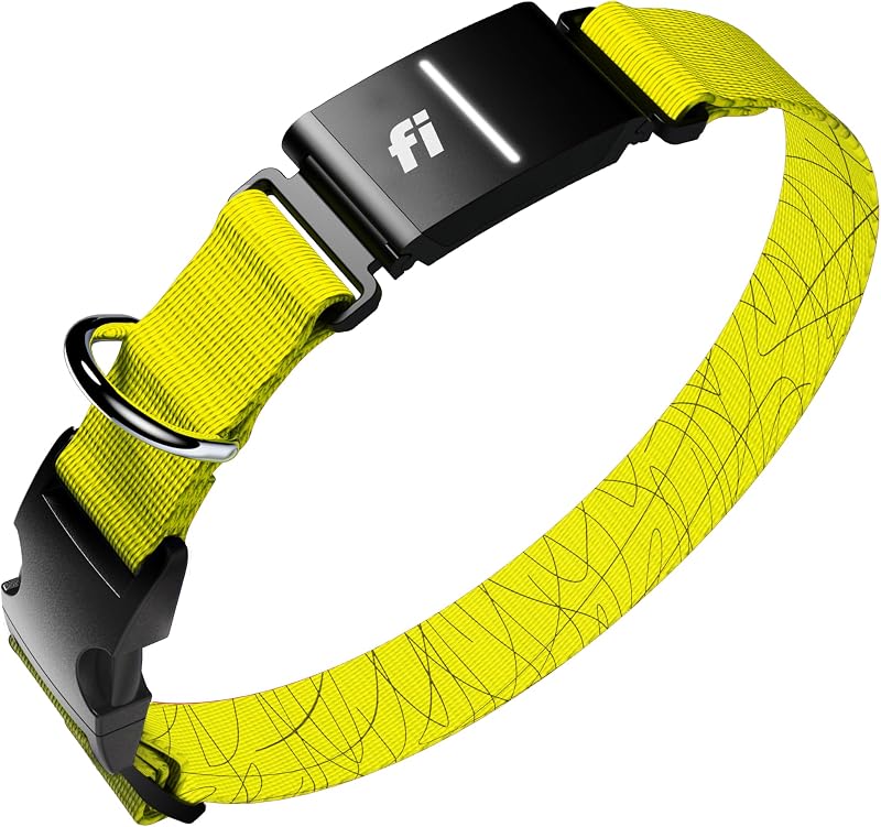 Coleira GPS e Rastreador de Atividade para Cães Fi Series 3+ FCB3 Amarela Tamanho M com 12 Meses de Associação
